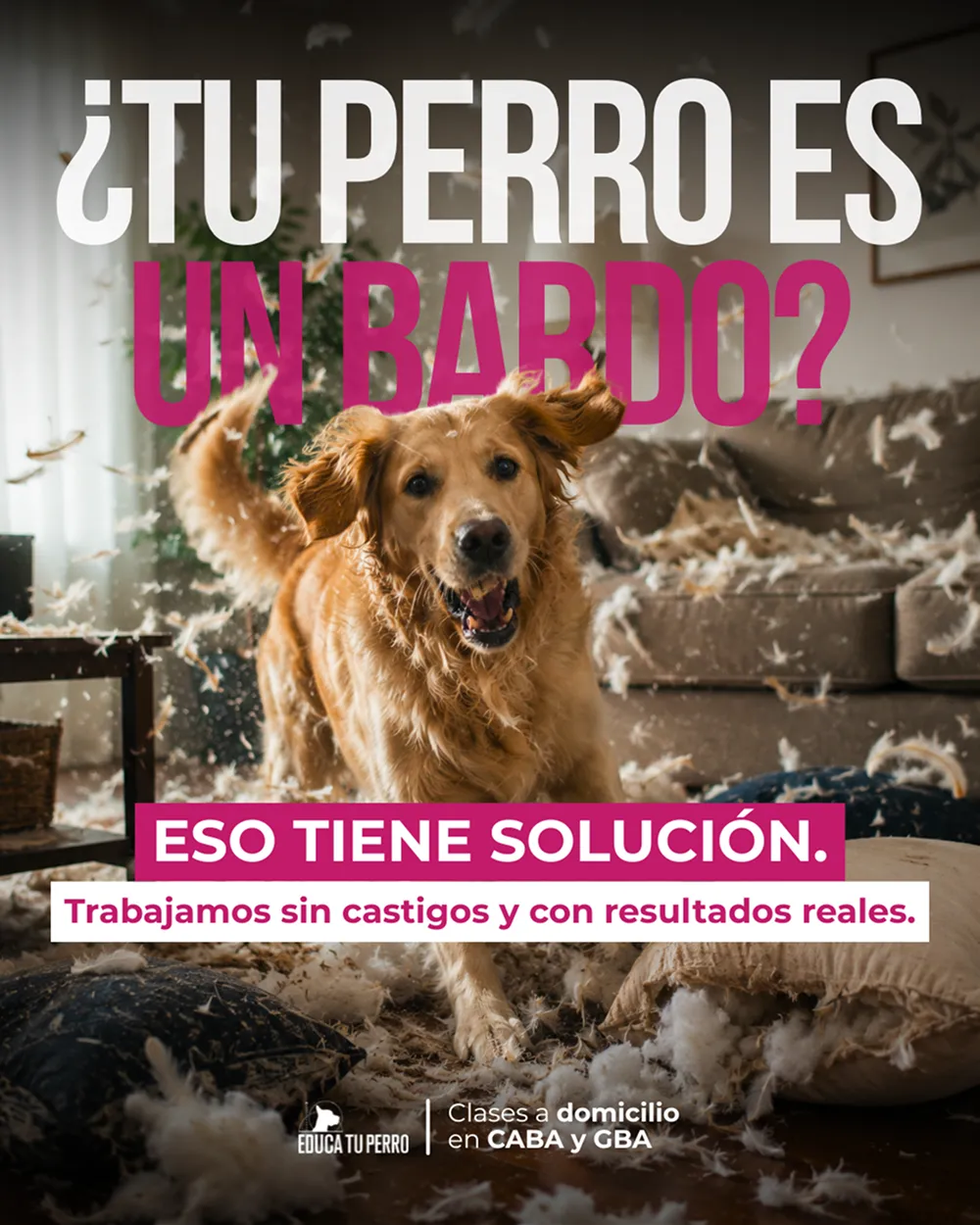 Educa Tu Perro 7